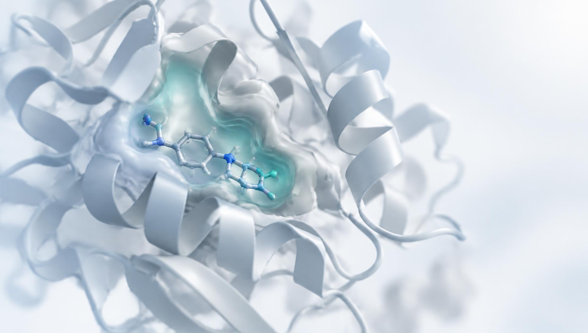 Molecular structure of the PARG target